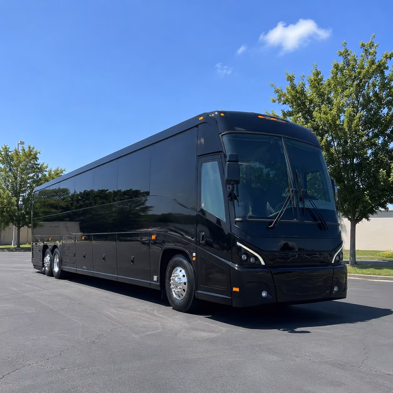 washington 56 passenger charter bus