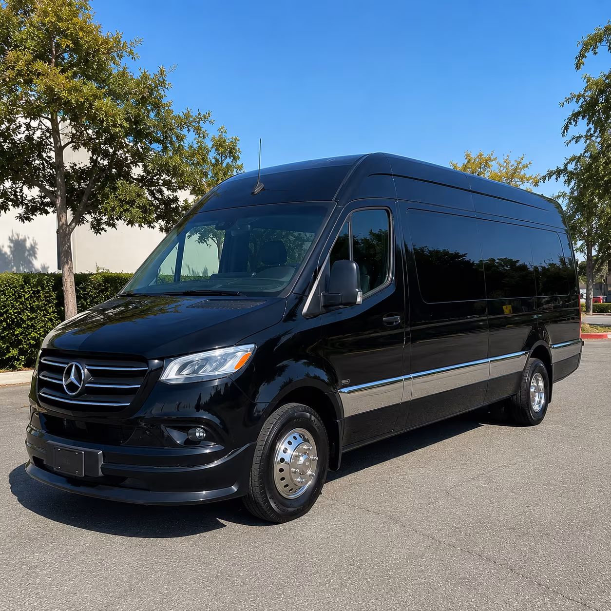 washington sprinter van with driver